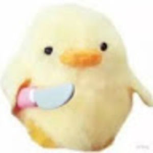 Meet your Posher, Mayra